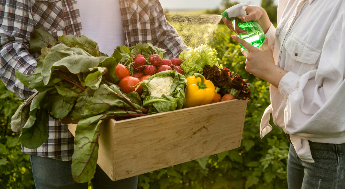 Optimizing Agriculture Supply Chain Management for Efficiency and Sustainability