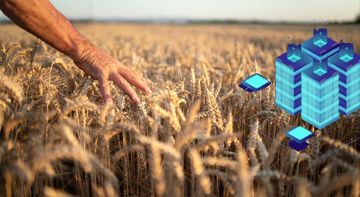 Blockchain Technology in Agriculture Supply Chains: What to Know