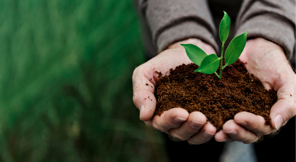 How AgTech is Revolutionizing Sustainable Farming Practices