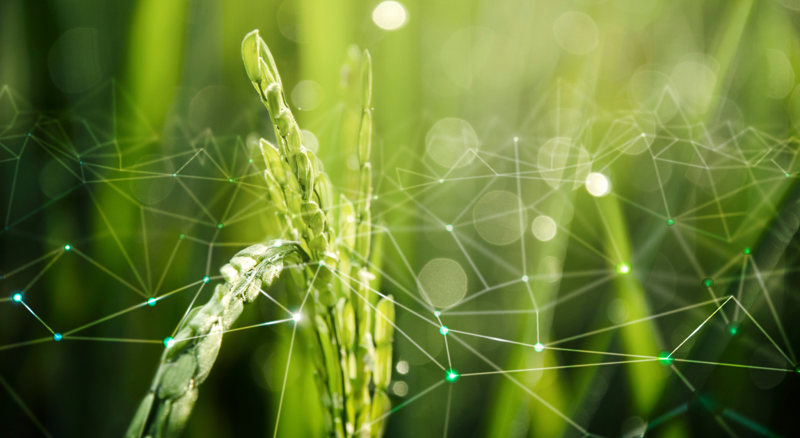 Nearest Future of Farming and Food Supply: Current Agriculture Innovations and Trends to Watch