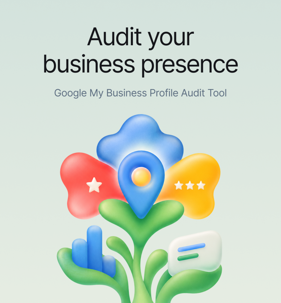Google Business Profile Audit Platform Development 